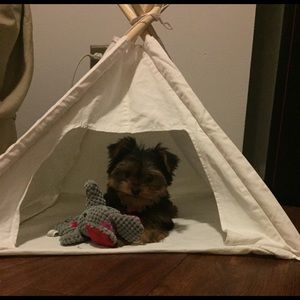 Pet Teepee